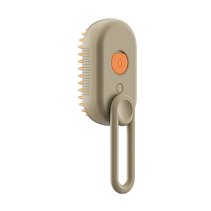 Spray Massage Brush