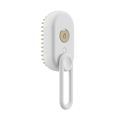 Spray Massage Brush